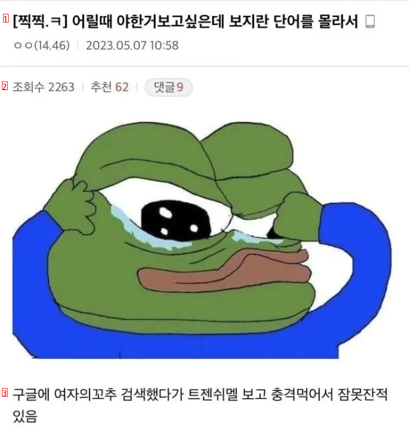 여자의 성기를 지칭하는 말을 몰랐지만 검색하고싶었던 잼민이 ㅋㅋㅋ