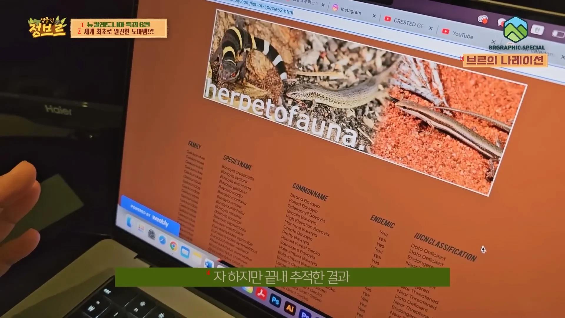 한국유튜버가 세계 최초로 촬영한걸로 예상되는 도마뱀