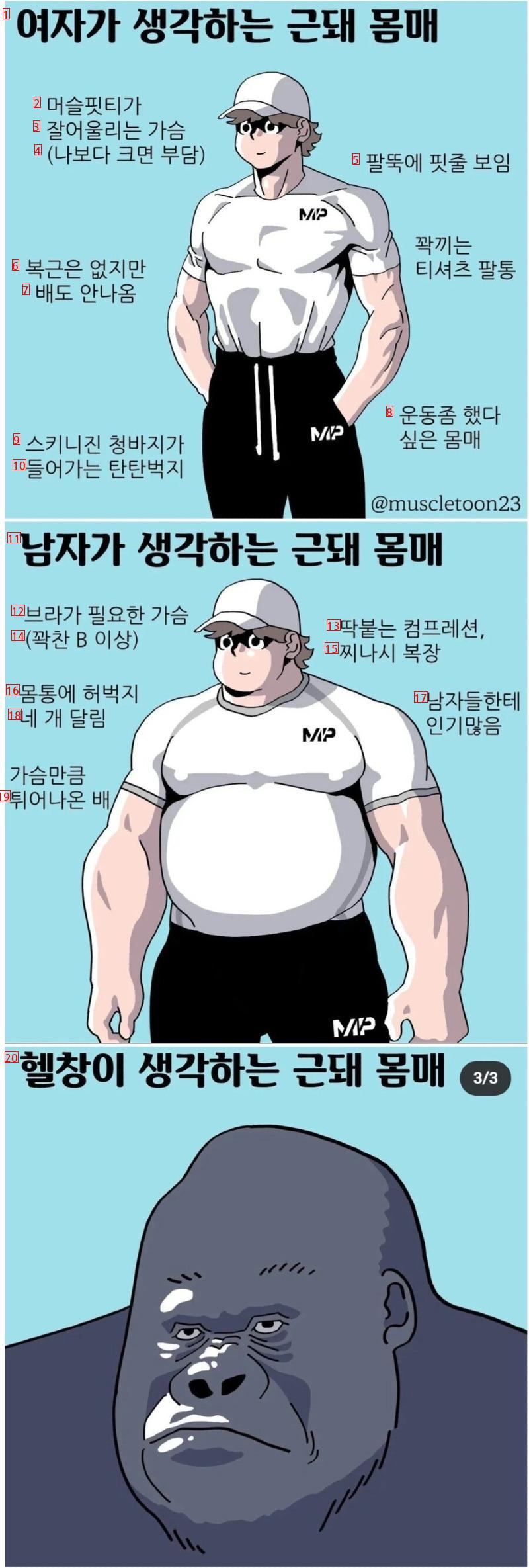 근육돼지들 수준.