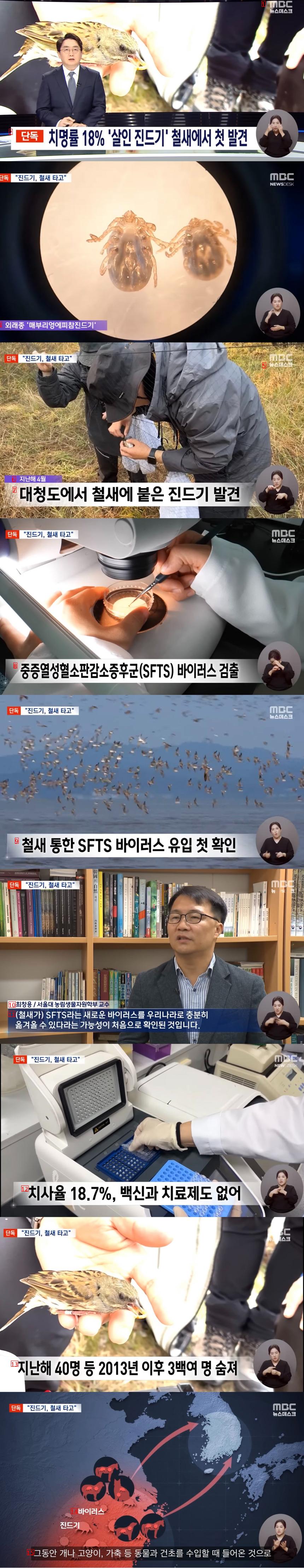 국내 살인진드기 sfts 바이러스 퍼진 원인