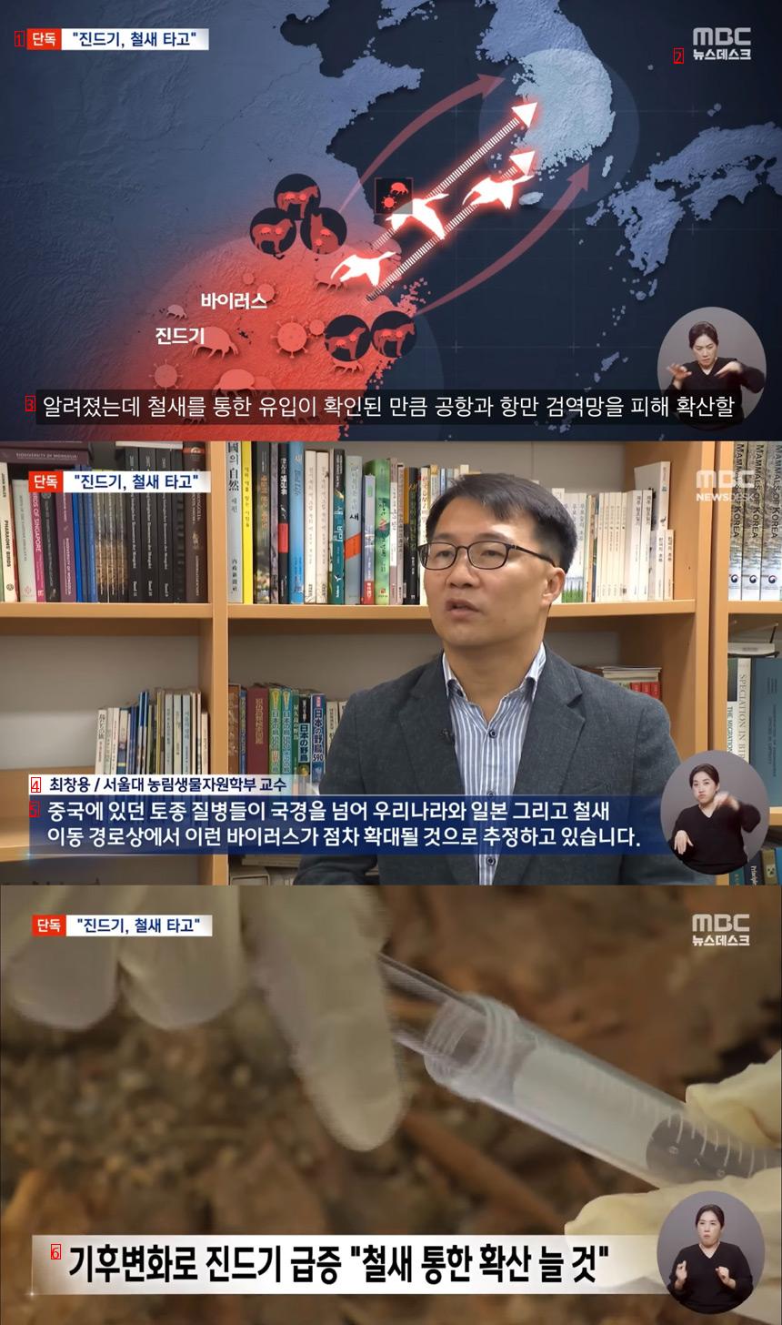 국내 살인진드기 sfts 바이러스 퍼진 원인