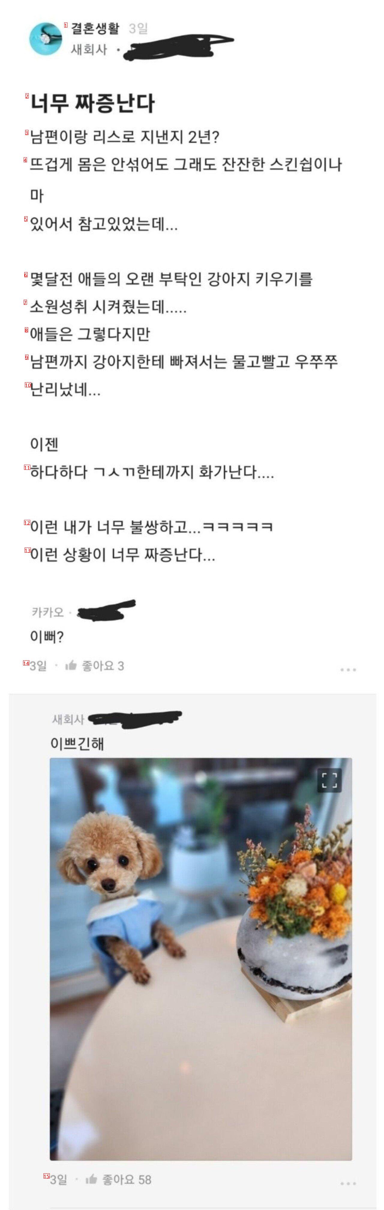 ㅅㅅ리스 2년차...너무 짜증난 아내