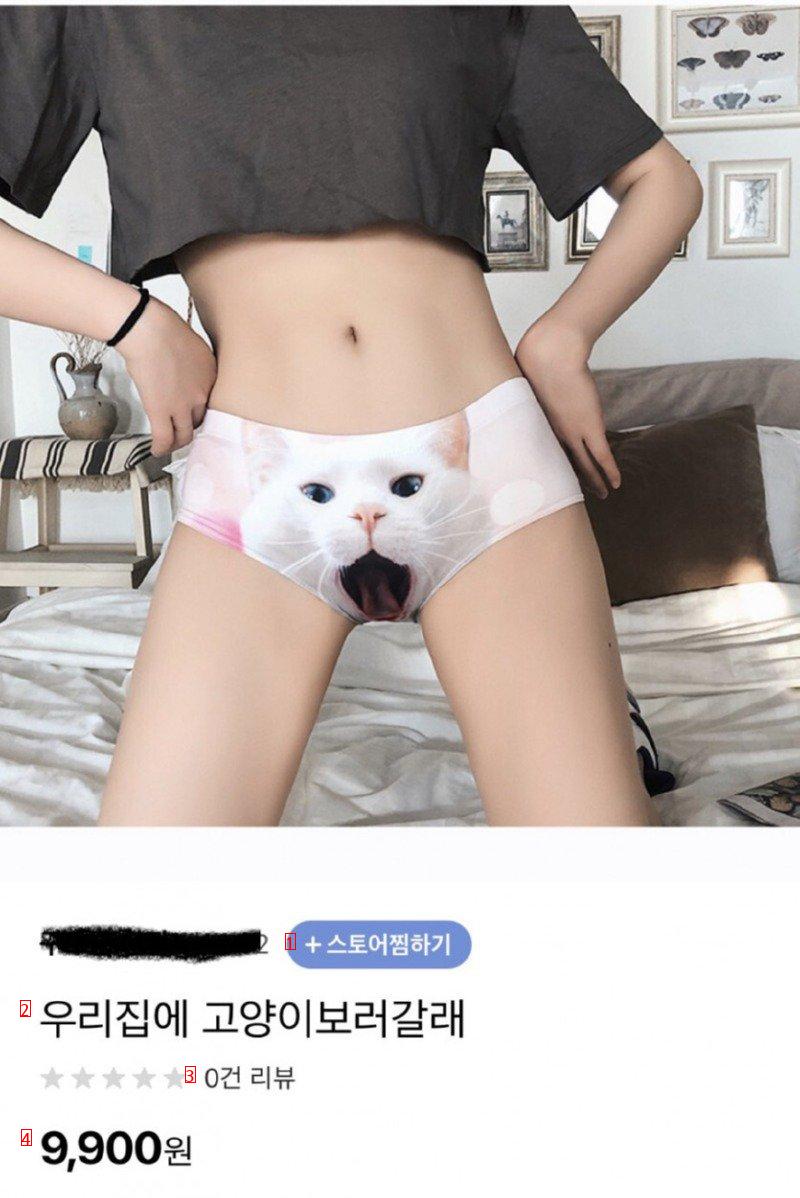 후방주의) 우리집에 고양이 보러갈래