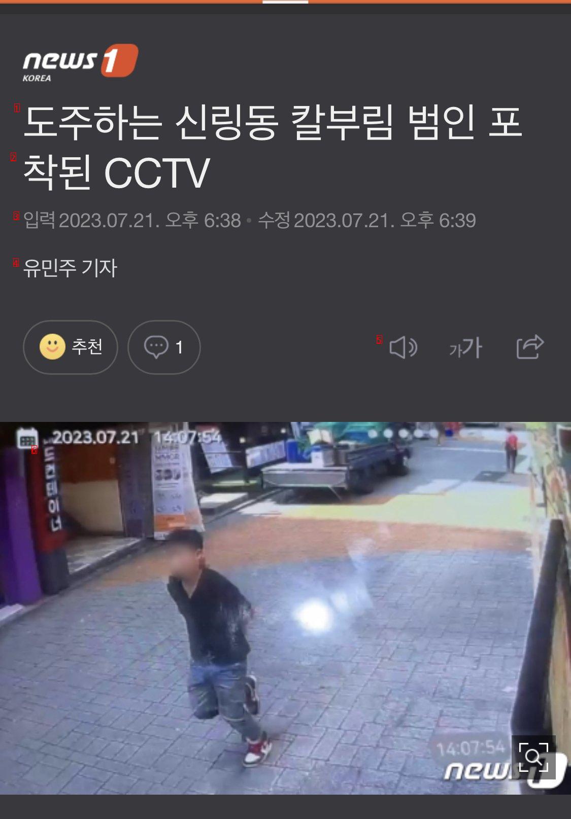 도주하는 신림동 칼부림 범인 포착된 CCTV.jpg