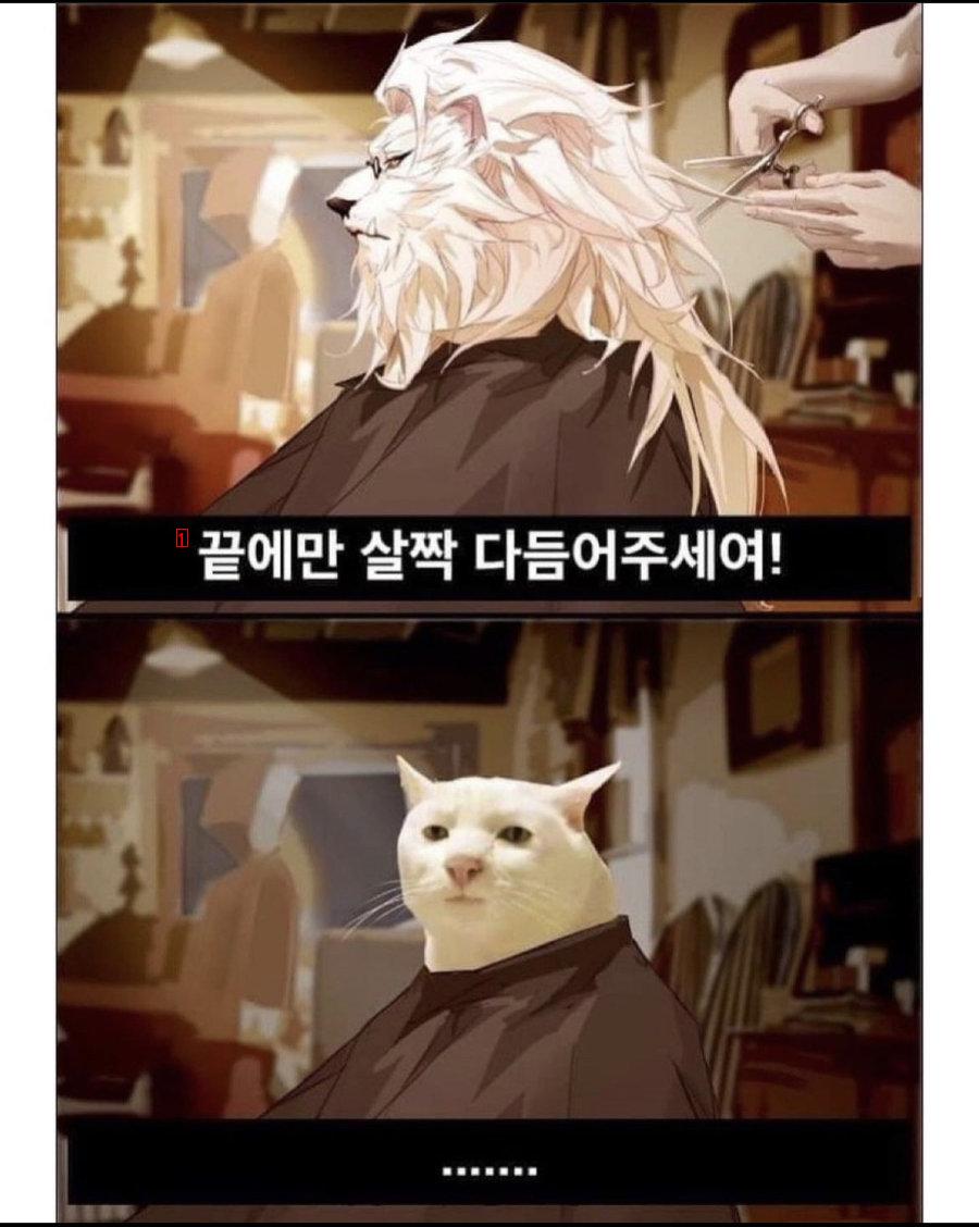 남자들 미용실갈때 특.jpg