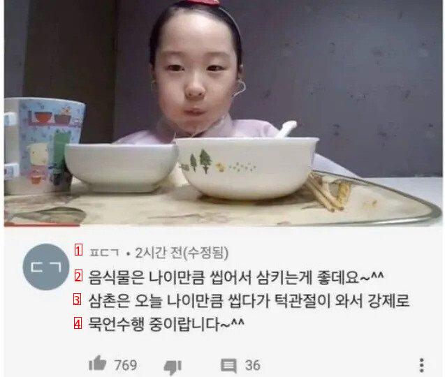 매콤달콤한 유튜버 띠예의 댓글 반응