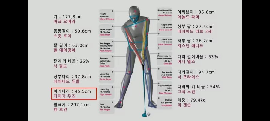 골프  55타 치는 모델골프 신체사이즈