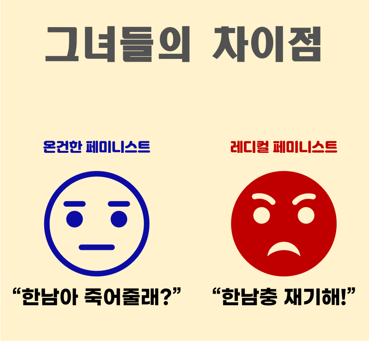 온건페미와 레디컬페미의 차이점.jpg