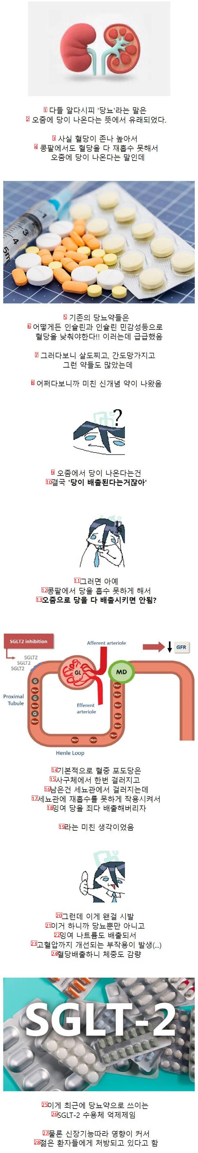 新概念糖尿新薬jpg