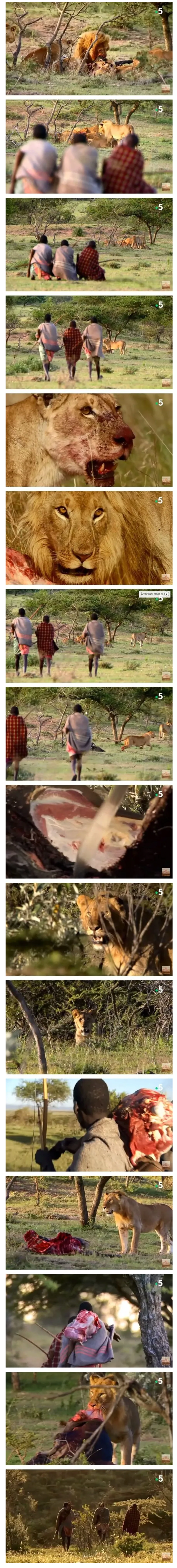 アフリカで肉を得る簡単な方法
