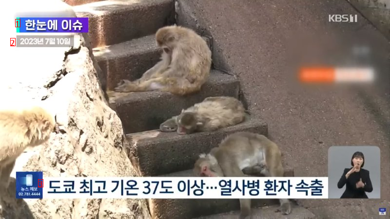 나약한 일본인들 좀 덥다고 녹아서 길바닥에 누워있는 수준