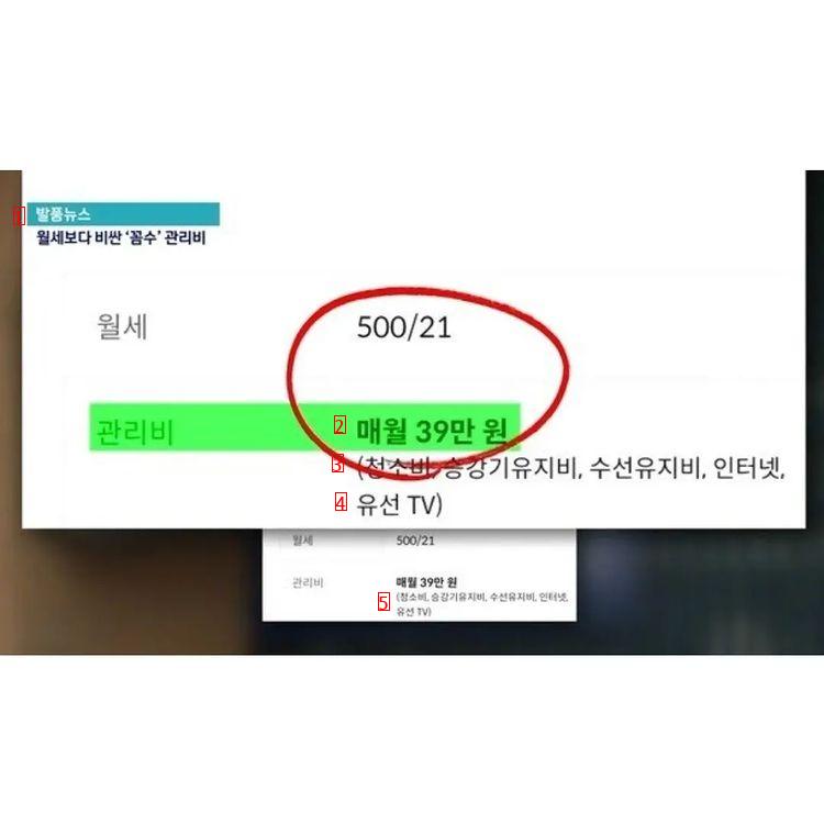 월세 30이하 서울 원룸 근황