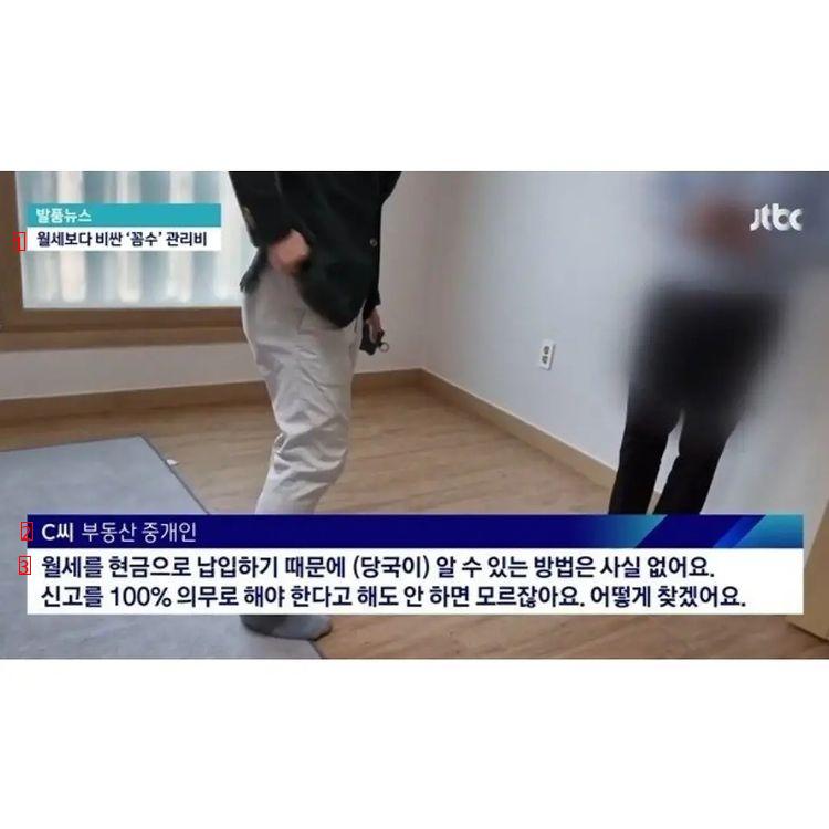 월세 30이하 서울 원룸 근황