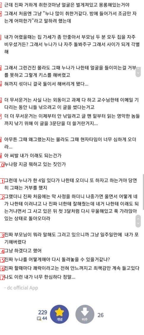 누나랑 ㅅㅅ 그만하고 싶다는 디씨인.jpg