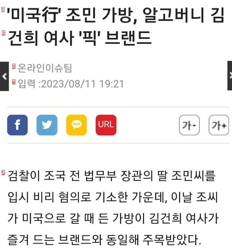 조민으로 이미지빨래하는 거니