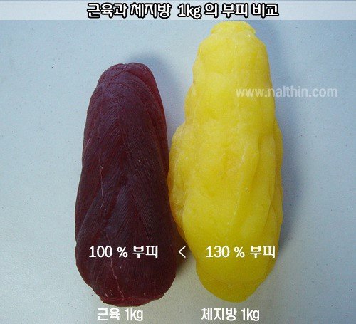 근육 1kg와 지방 1kg의 부피 비교