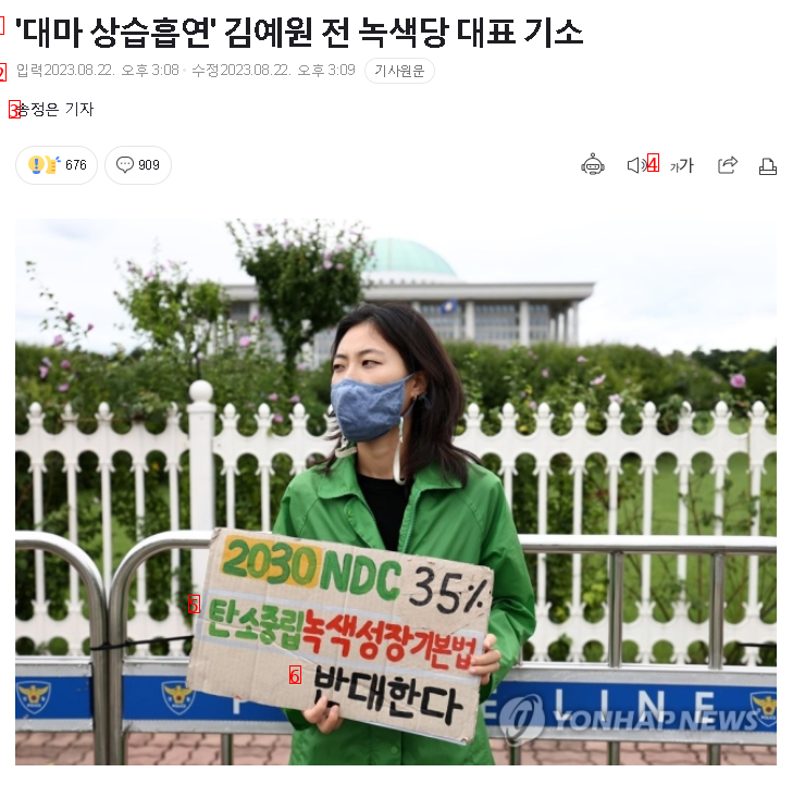 フェミニズムと環境を叫んでいた緑の党代表、金イェウォンの近況