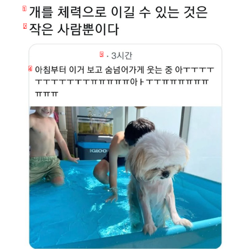 물놀이하다 지친 강아지 근황.jpg