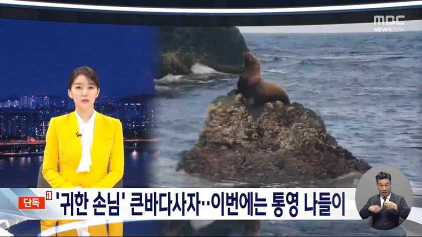 한국에서 100년 만에 발견된 동물