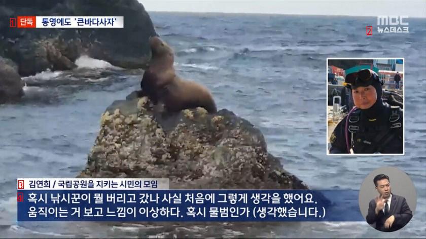 한국에서 100년 만에 발견된 동물
