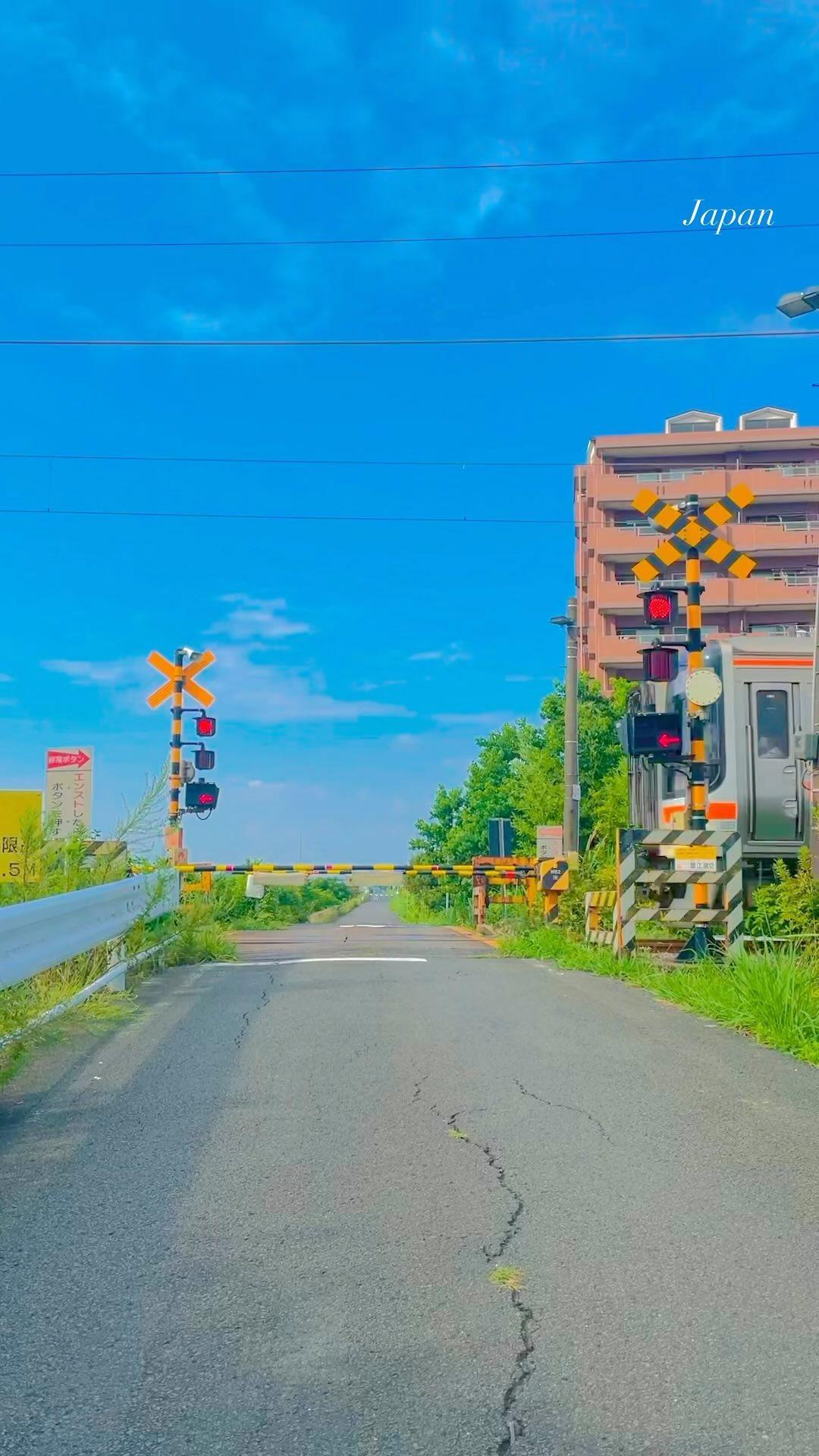 日本の田舎に住んでいるある韓国人が撮った写真