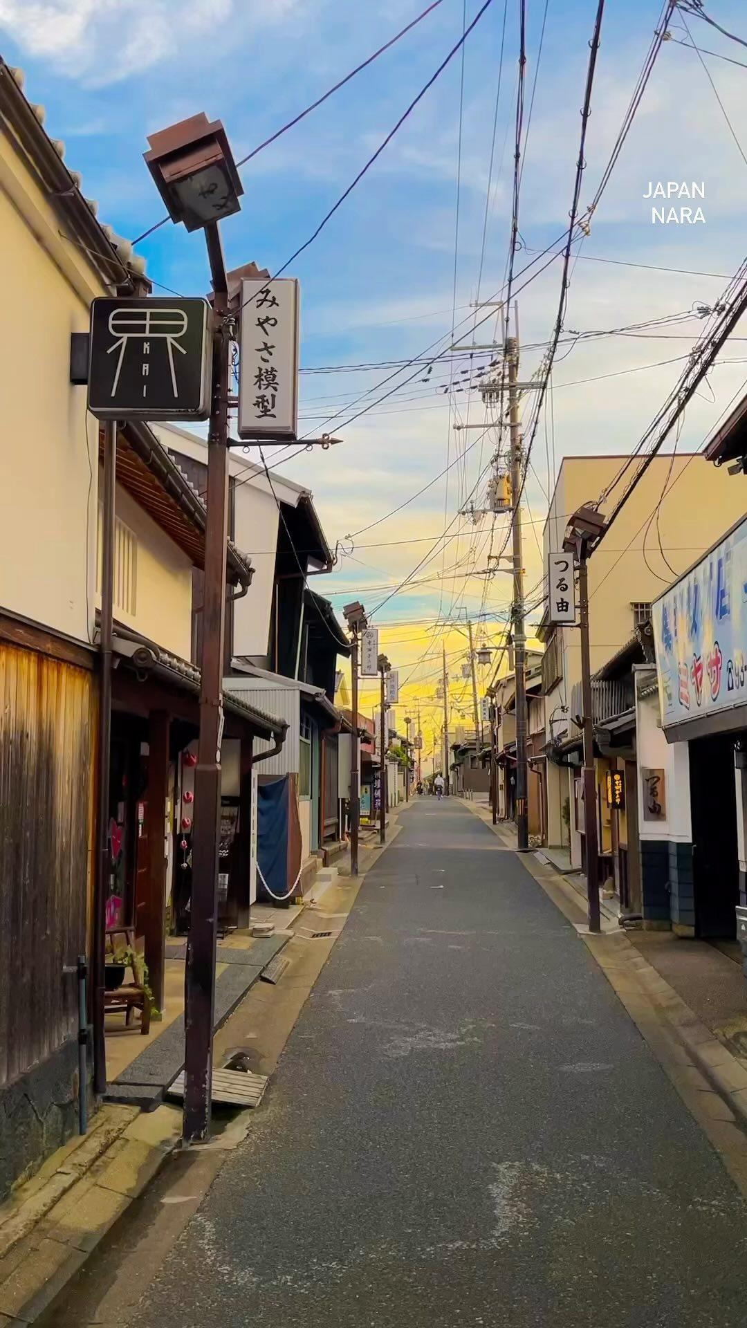 日本の田舎に住んでいるある韓国人が撮った写真