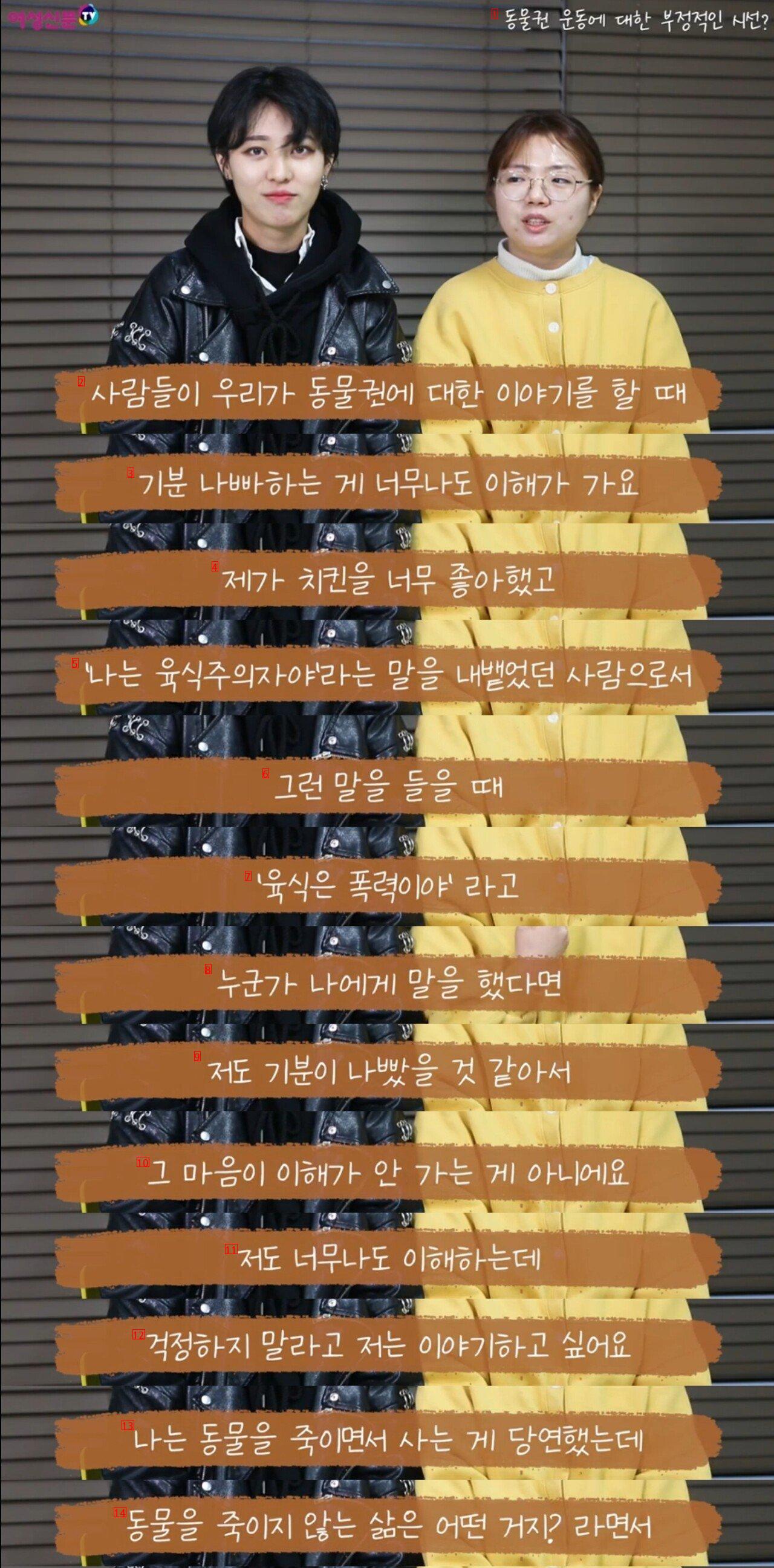 한국에서 비건에 대한 인식을 최악으로 떨군 장본인들.jpg
