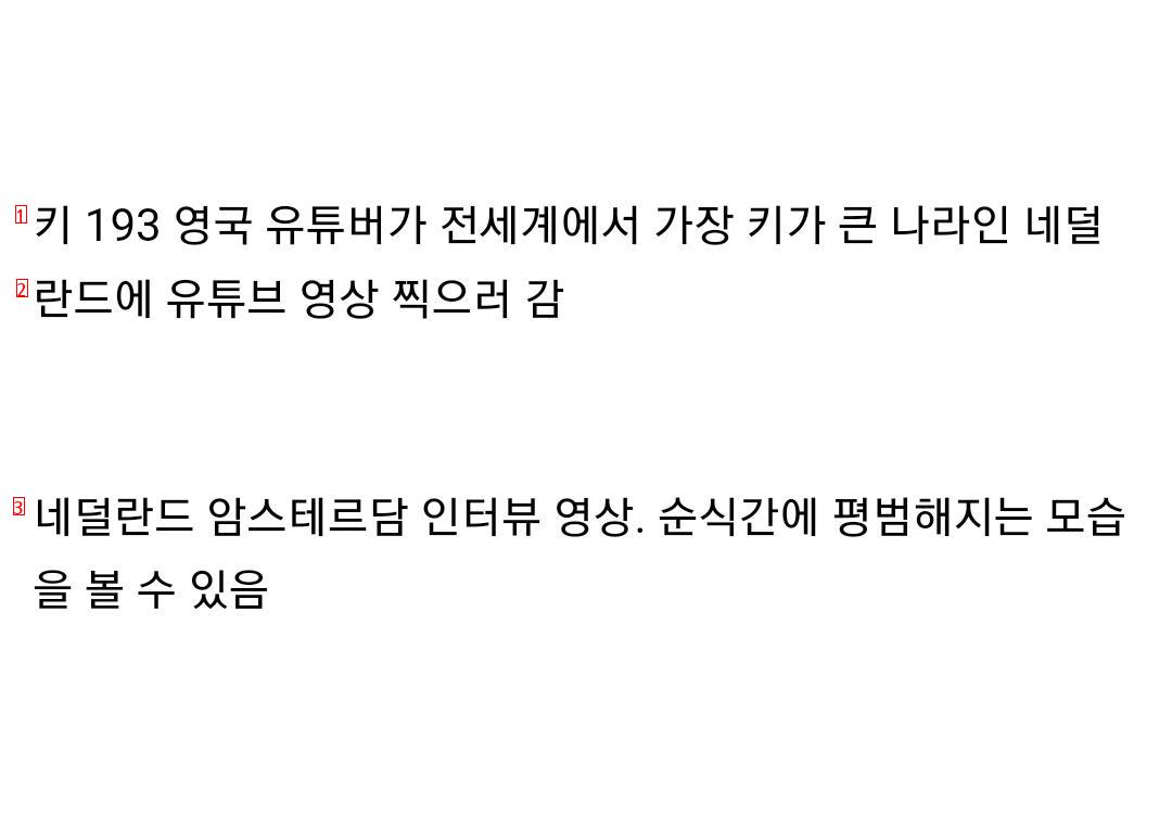 키 193 영국남자가 네덜란드 가면 생기는 일