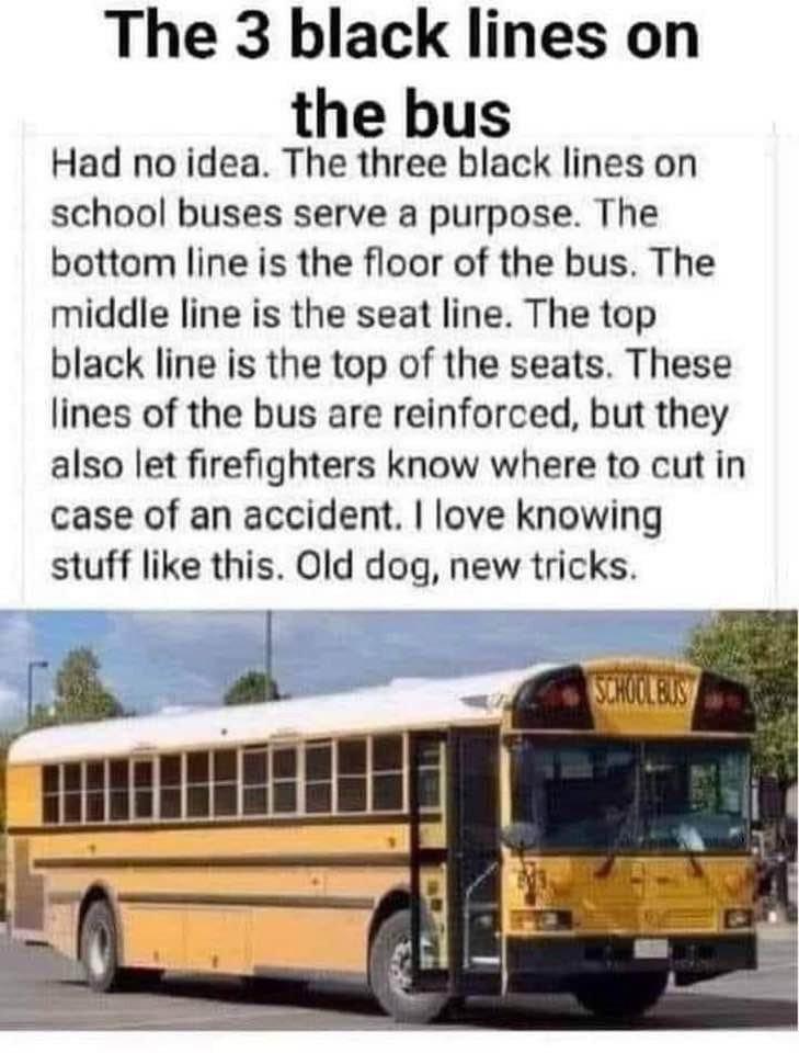 スクールバスに黒い線が三つある理由