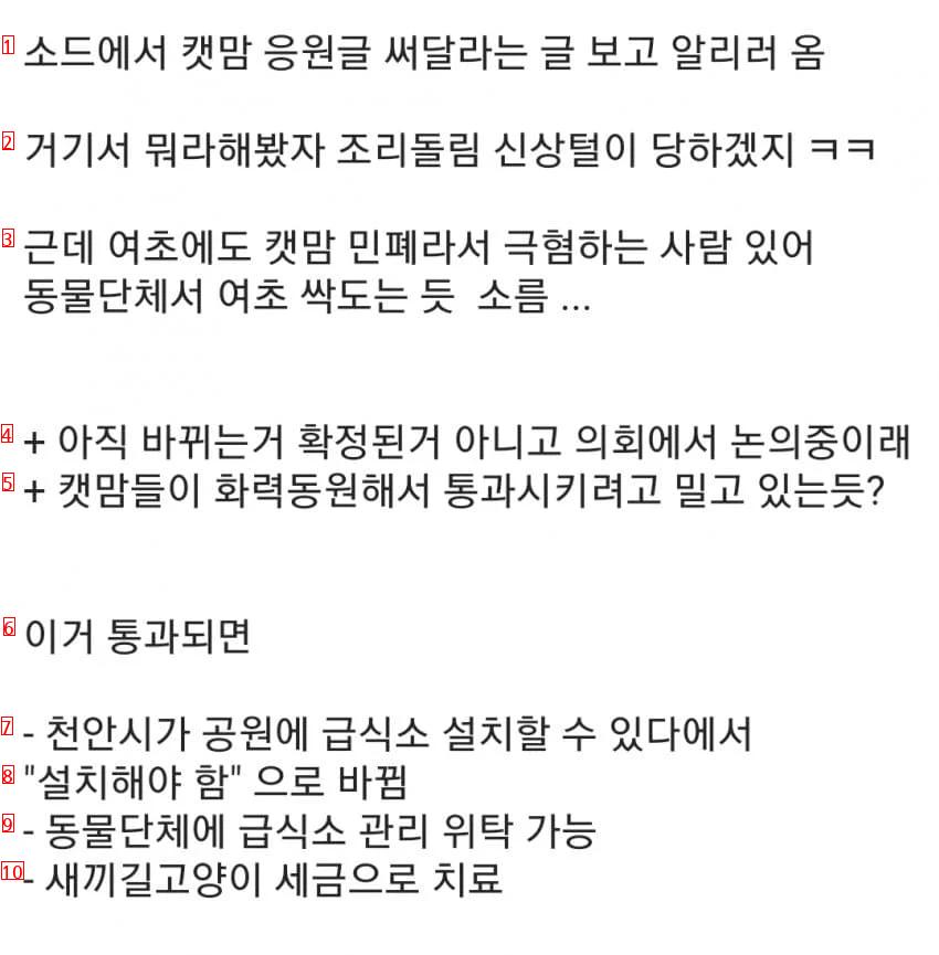 천안시 새 조례 “공원 내 길고양이 급식소 설치 의무화” ㄷㄷ...