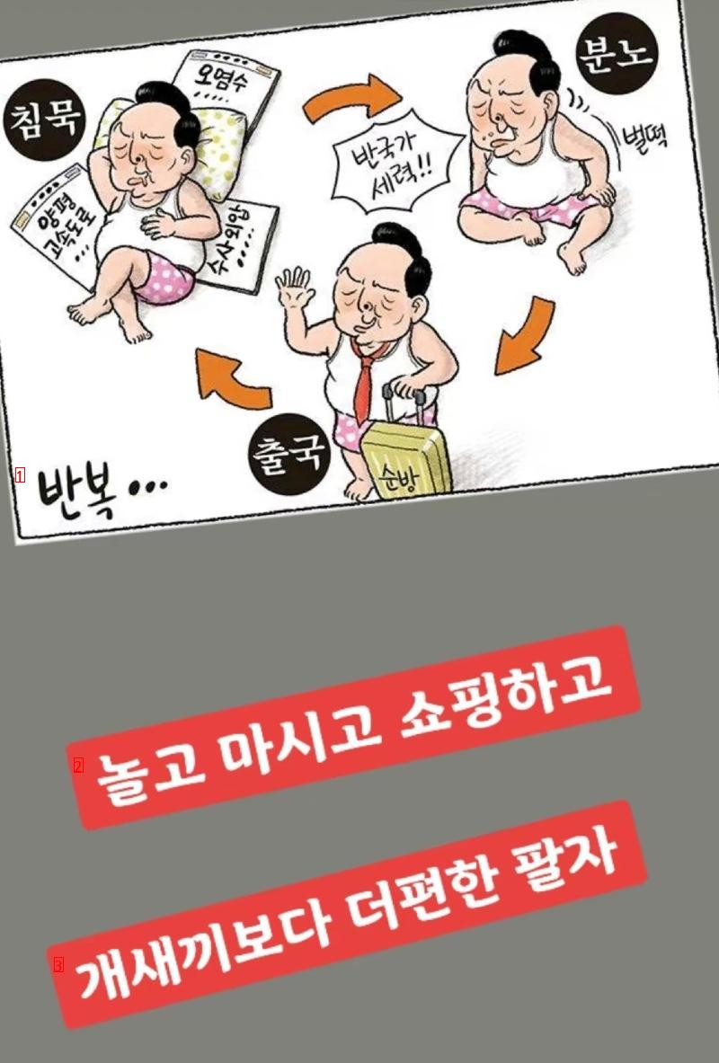 개팔자 상팔자다