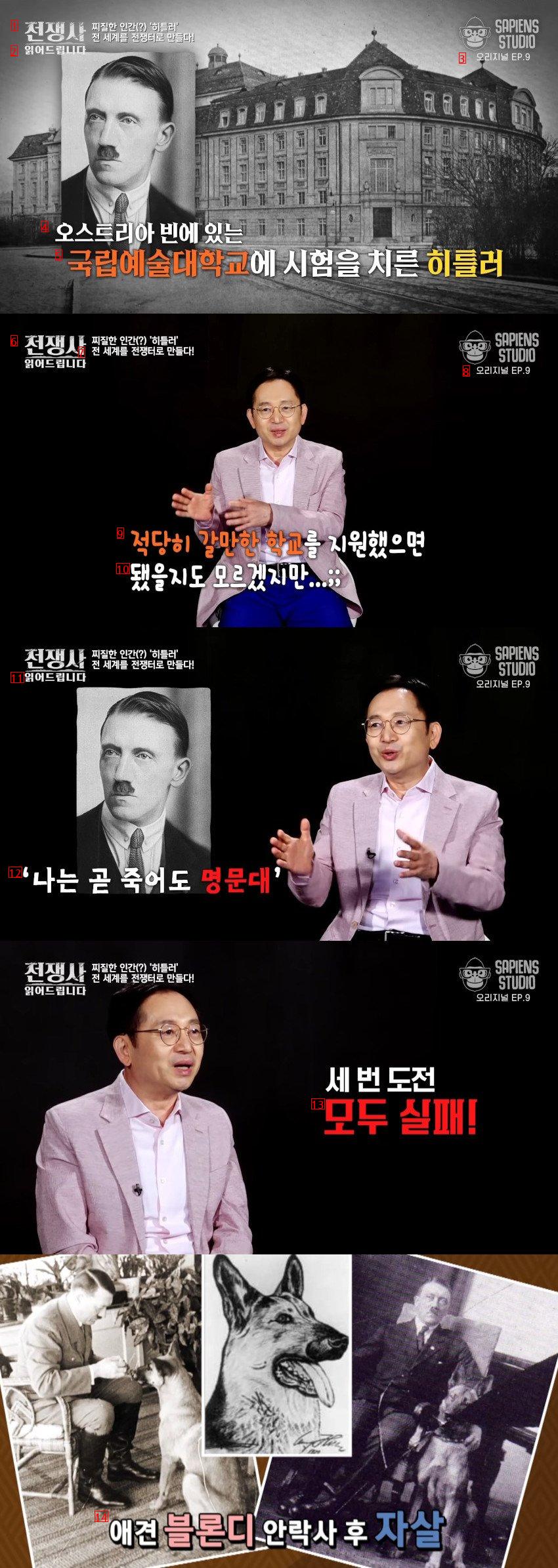 명문대 3수 실패하자 애완견 죽이고 극단적 선택