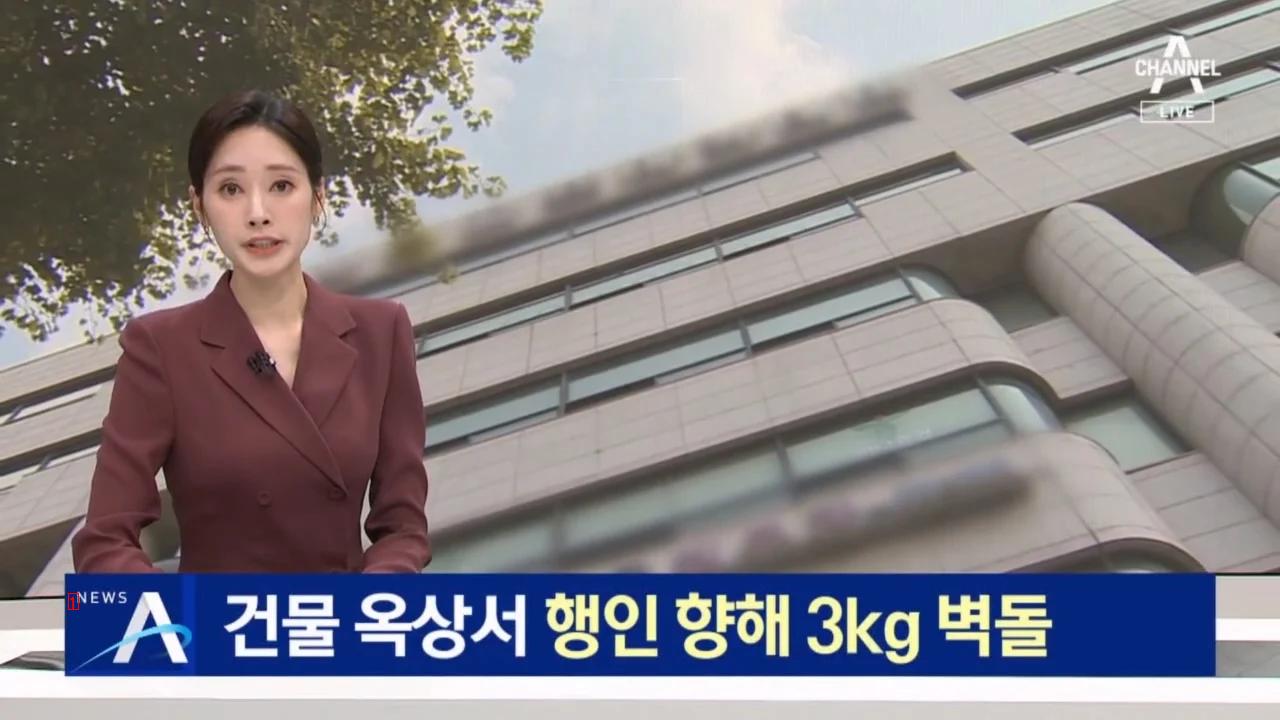 건물 옥상서 행인 향해 3kg 벽돌 던진 20대 남성 구속 ""...