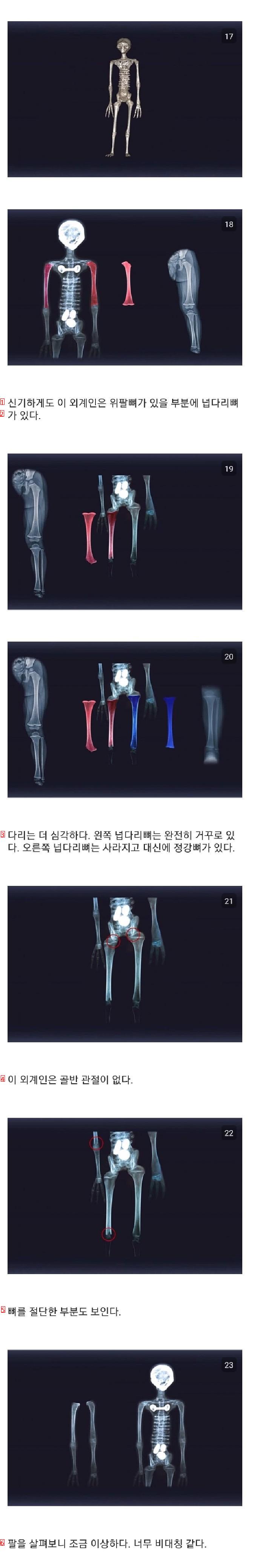 멕시코에서 발견한 외계인 사체의 진실