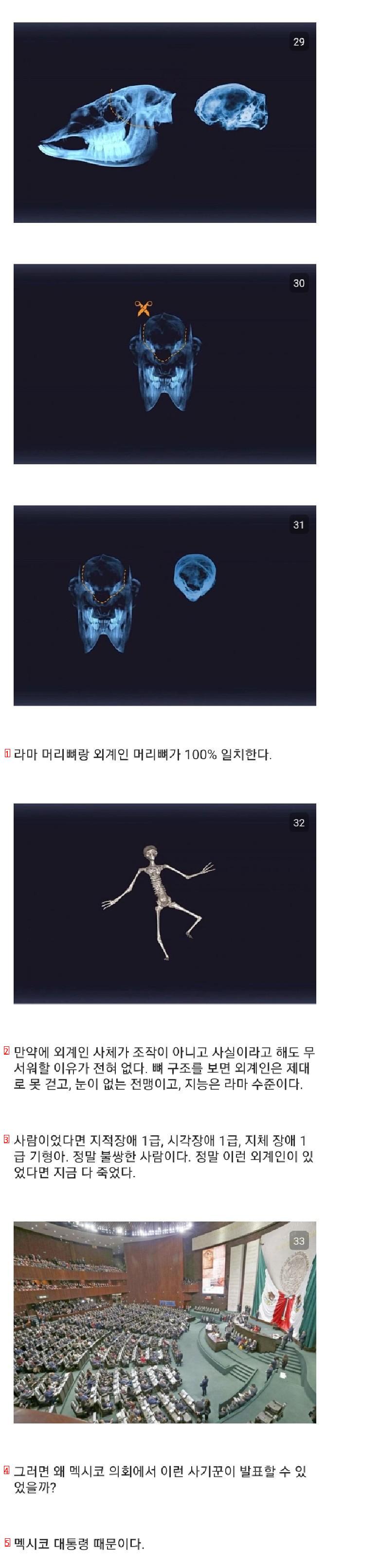 멕시코에서 발견한 외계인 사체의 진실