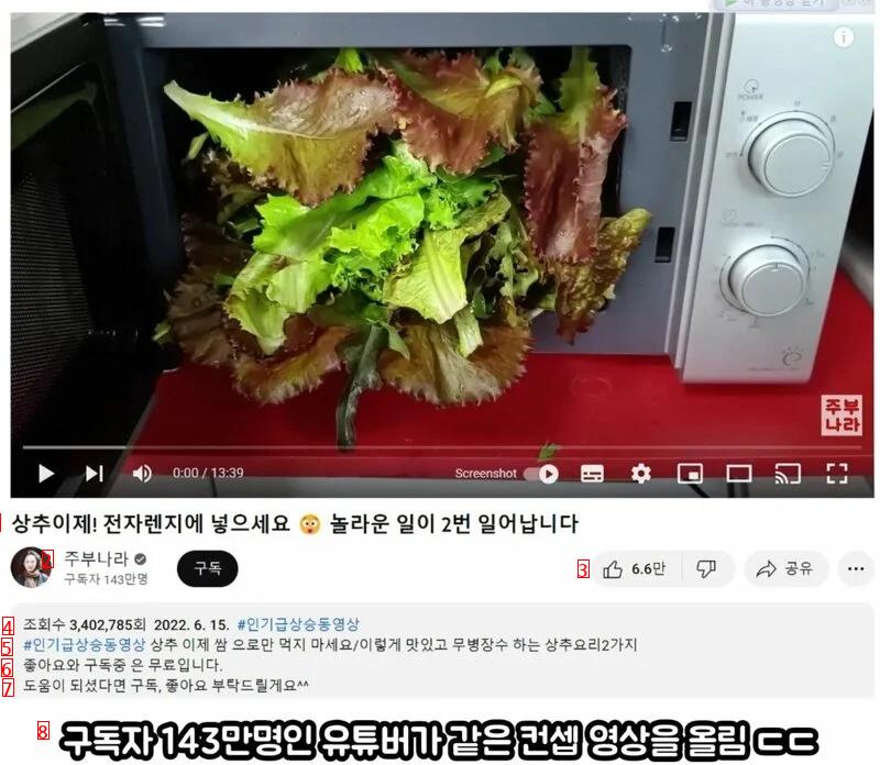 97만 유튜버 소재 뺏어간 143만 유튜버 ㄷㄷ