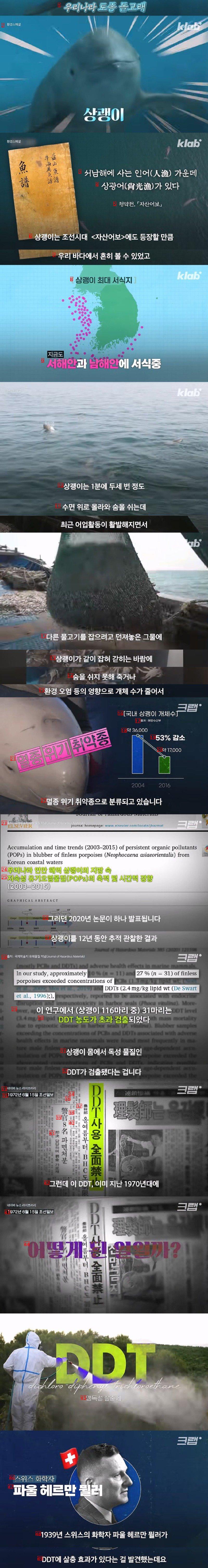 50년전에 사용금지된 DDT가 상괭이 몸에서 발견된 이유