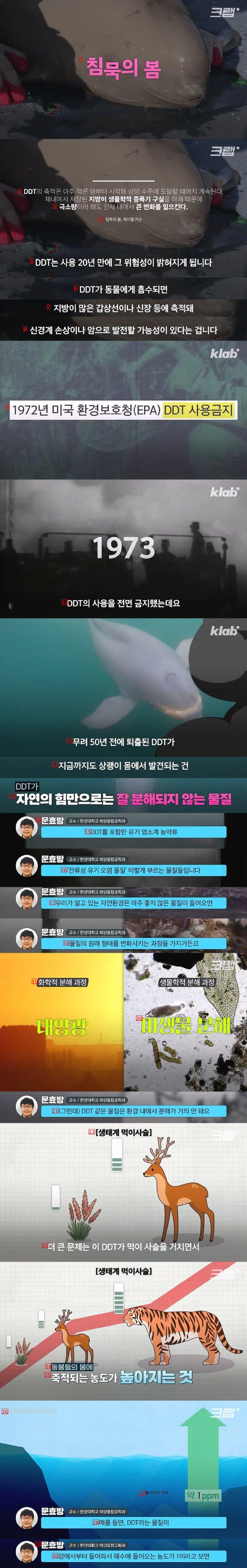 50년전에 사용금지된 DDT가 상괭이 몸에서 발견된 이유