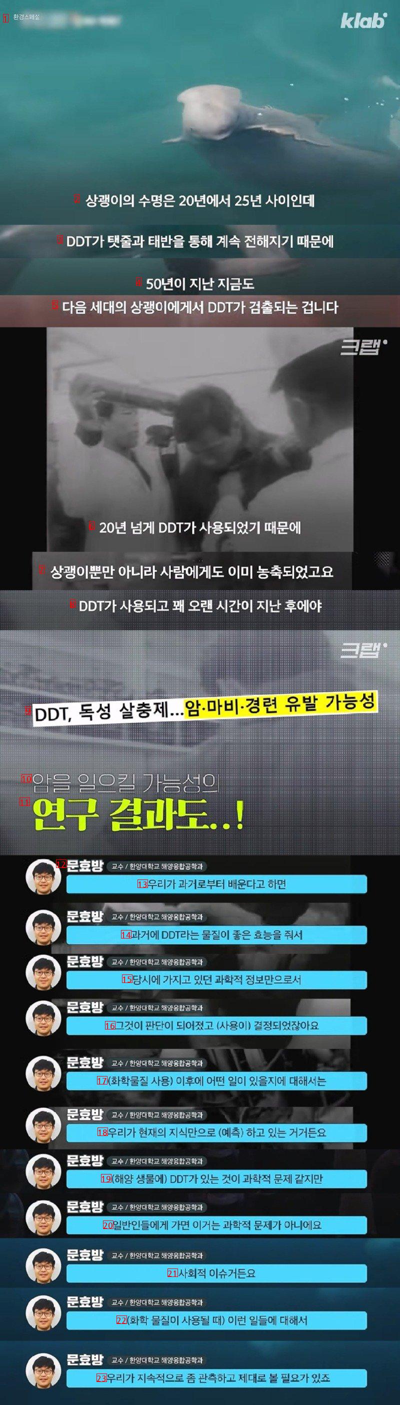 50년전에 사용금지된 DDT가 상괭이 몸에서 발견된 이유