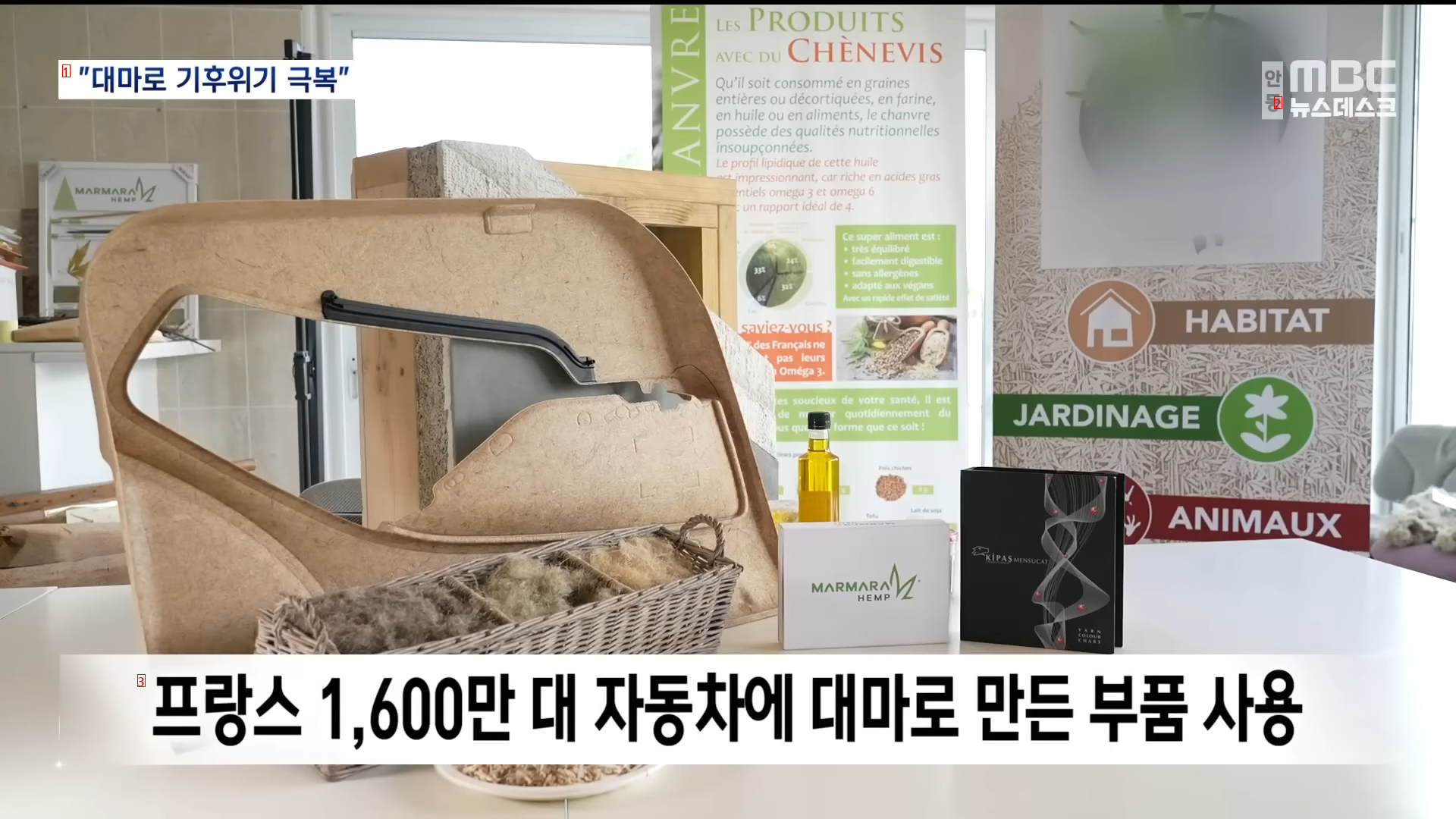 대마로 기후위기 극복할거라는 유럽 근황 ㄷㄷㄷ..NEWS