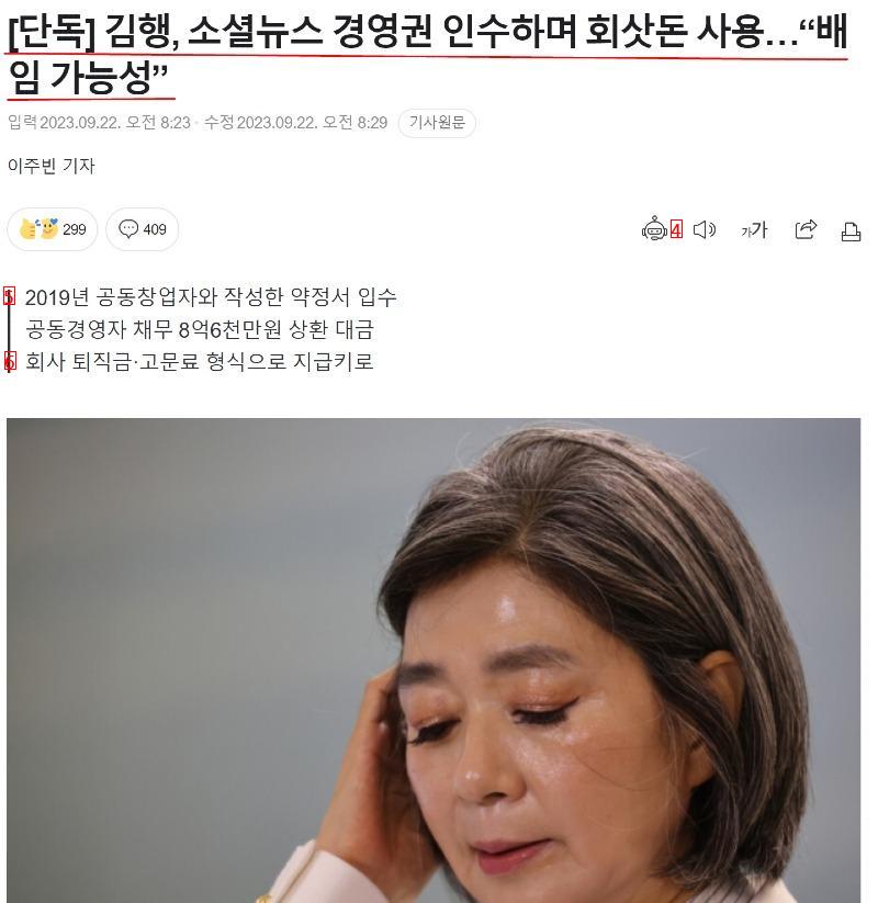 [속보] 김행, 회삿돈 사용 배임 혐의.jpg