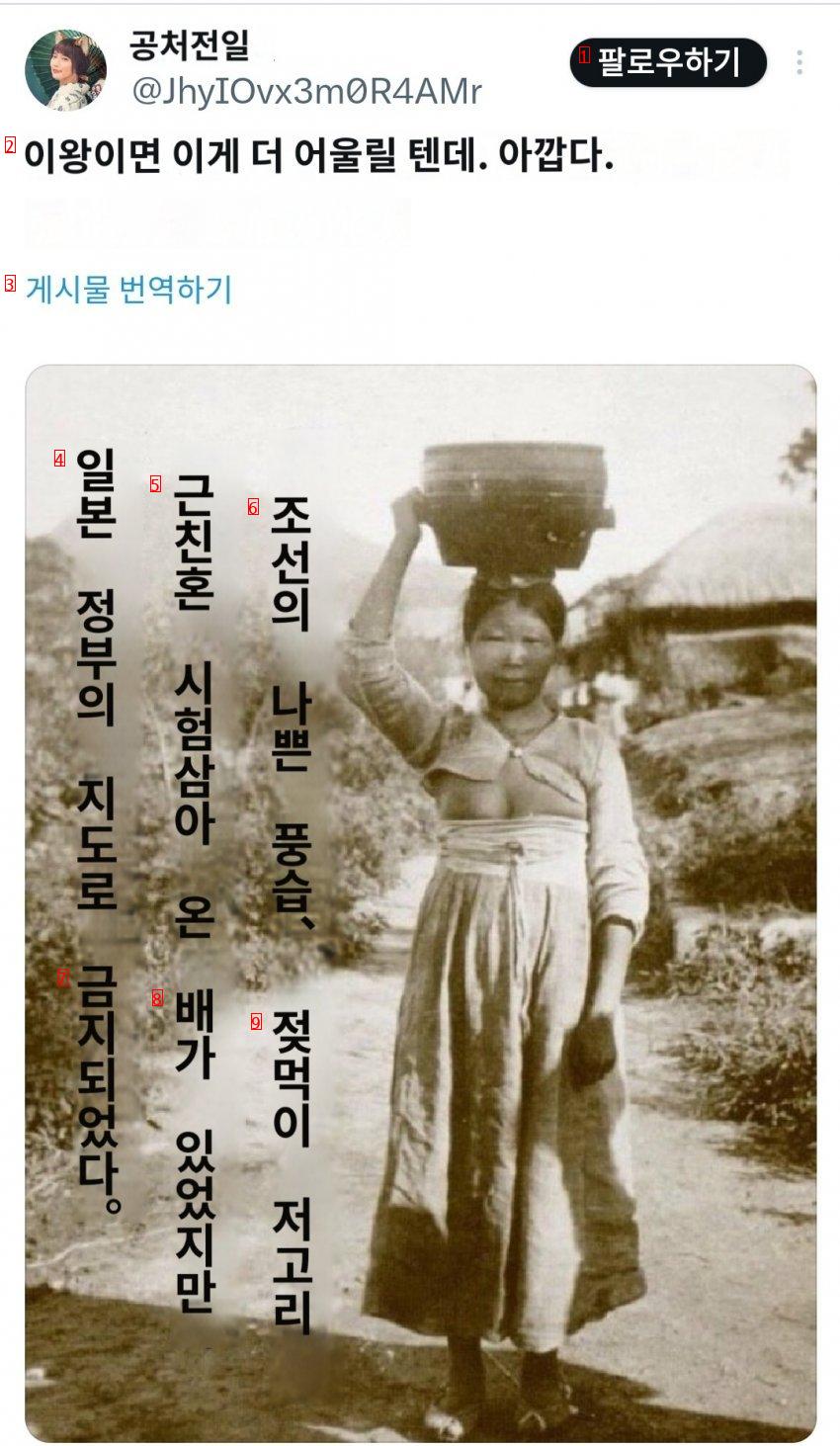 일본인들한테 조롱당하는 DJ소다