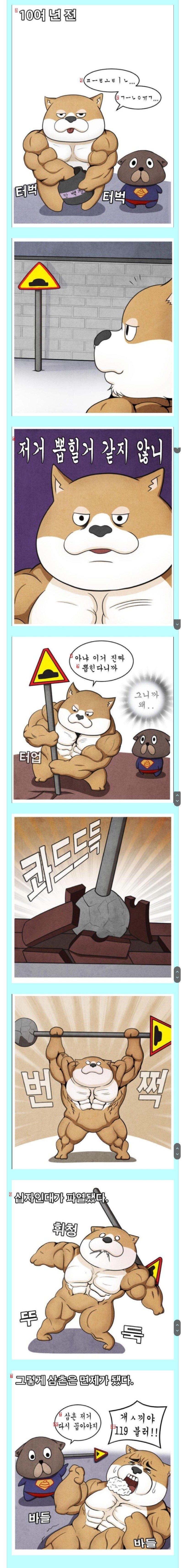 指圧運動特化だが、すべて軍免除を受けた家族manhwa