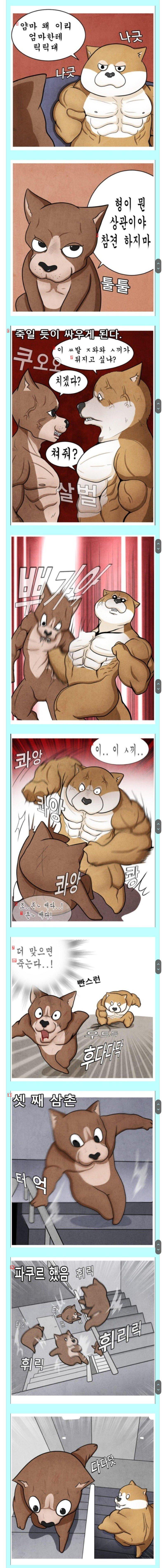 指圧運動特化だが、すべて軍免除を受けた家族manhwa