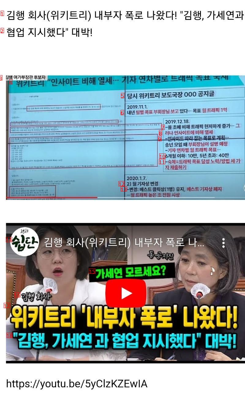 김행 가세연 대가리었어???