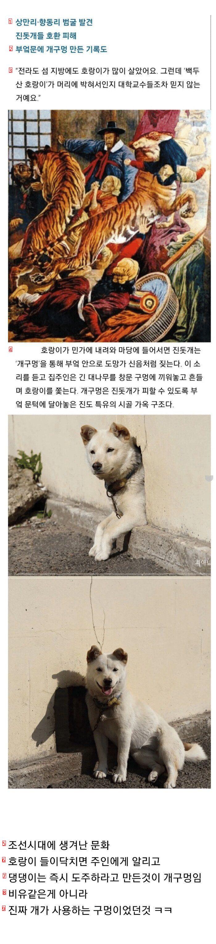 わんちゃんが韓国の由緒ある家屋構造である理由 jpg