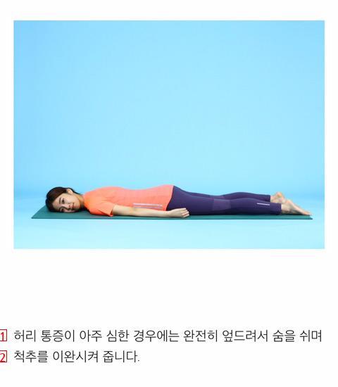 서울대병원 정선근 교수가 말하는 허리 디스크에 좋은 운동