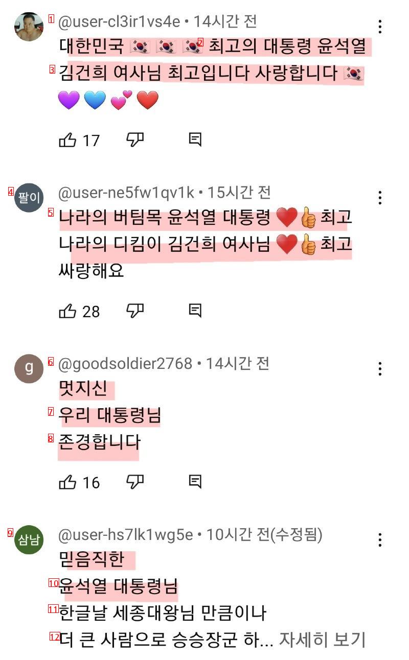 尹錫悦 YouTubeのコメント