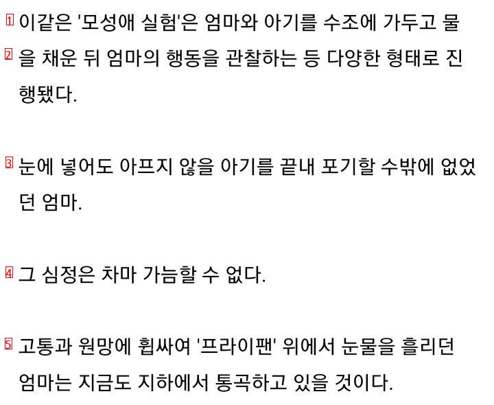 역사상 아기 참수보다 충격적인거 본적있는데