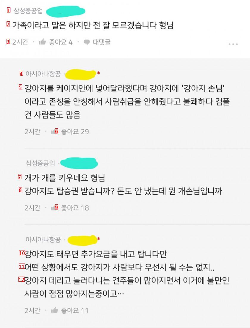 현재 블라인드에서 항공사 직원에게 저격당한 유명 개플루언서.JPG